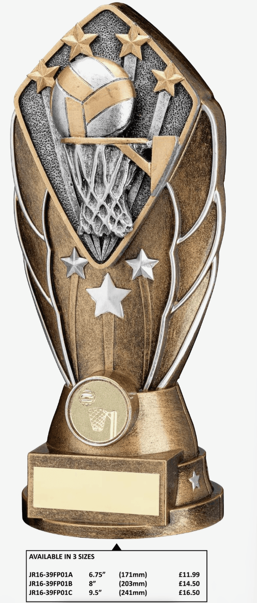 Basketball Net Trophy