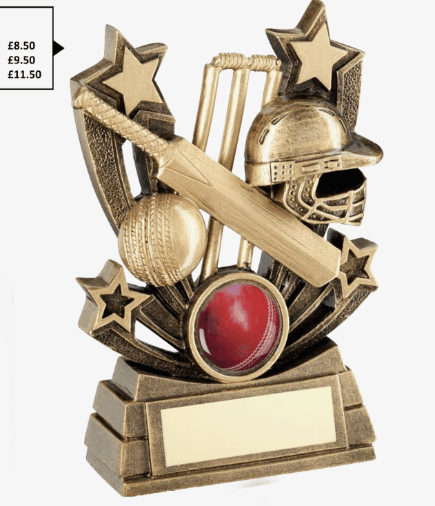 Cricket Star Award